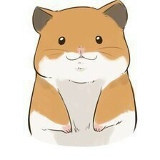 Il'yas Musaev, 27.05.1994, Бишкек