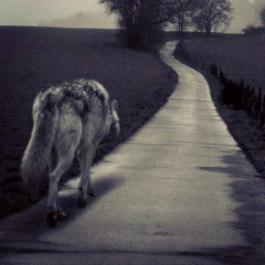 Нарек Серобян, 07.10.1991, Санкт-Петербург