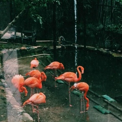 Альбина Шарипова, 27.07