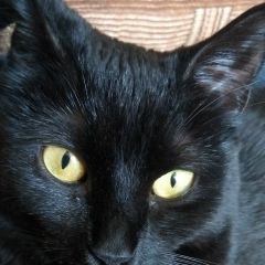 Сергей Федотко, 28.02.1965