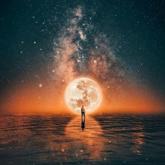 Тельман Салаев, 06.05.1992, Алматы