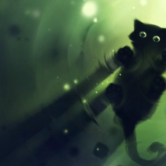 Temo Leshkasheli, 09.04.1996, Тбилиси