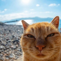 Александр Калугин, 30.06.2006, Москва