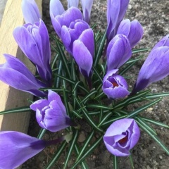 Ирина Гурова, 25.12, Зеленодольск