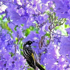 Замзагуль Муратжан, 23.06.1979, Алматы