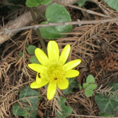 Ольга Громыко, 22.02, Санкт-Петербург