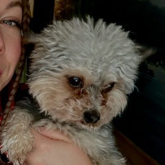 Ольга Чехова, 22.05.1994