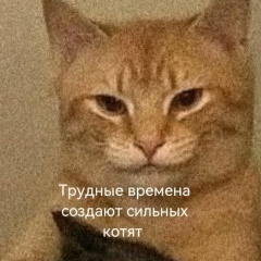 Альберт Ахметович, 14.08