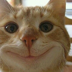 Василий Буранов, 07.04.1983, Великие Луки