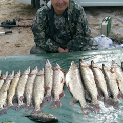 Олег Ракицкий, 22.02.1985, Астана