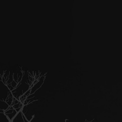 Денис Немков, 03.12.1988, Есиль