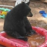 Максим Ткаченко, 05.06.1986, Санкт-Петербург