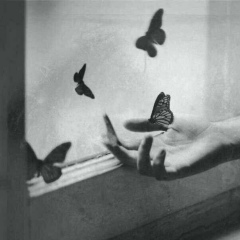 Илона Ипекйюз, 20.11, Москва