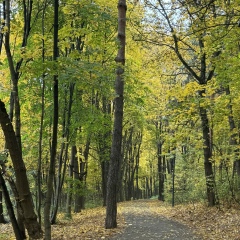 Анна Анна, 17.12, Москва