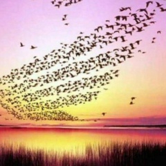 Арсен Шакенов, 06.10.1990, Москва