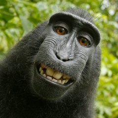 Nurana Alekberova, 30.11, Баку