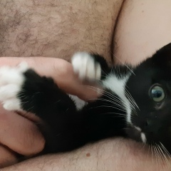 Ульяна Помыткина, 25.10