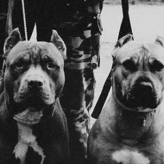 Fill Moor, 08.02, Николаев