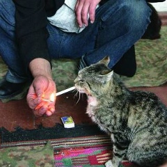 Максим Рыжков, 22.04.1987, Днепр (Днепропетровск)