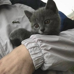 Ноха Амаев, 02.03, Грозный