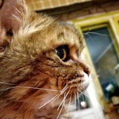 Алексей Сласной, Мурманск