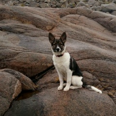 Kira Chu, 23.04, Мурманск