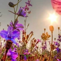 Соломія Попович, 24.09, Львов