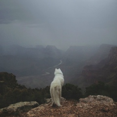 Ровшен Гайыпов, 30.03