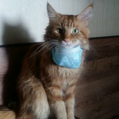 Николай Дерягин, 06.10, Мурманск