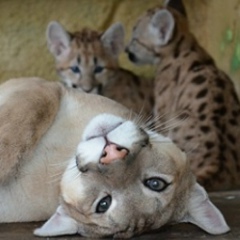 Дарья Лазарева, 18.09.1989, Москва
