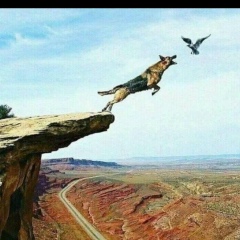 Ваня Сарьян, 11.08.1988, Краснодар