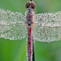 Яна Суслова, 04.02, Санкт-Петербург