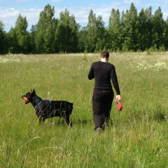 Иван Голощапов, 04.07.1987, Санкт-Петербург
