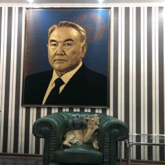 Серик Мейрбеков, Тараз