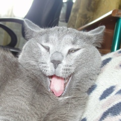 Александр Немчинов, 28.11.1990, Троицк