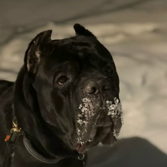 Саша Лымарев, 16.03.1990, Москва