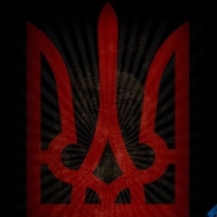Назар Квасінський, 04.08.1981, Львов