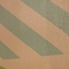 Антон Баринов, Москва