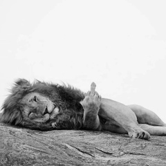 Муслим Магамаев, 26.01, Владикавказ