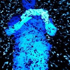 Денис Максимюк, 04.07.1972, Санкт-Петербург