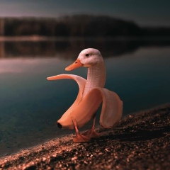 Сергей Изотов, 11.10.1989, Санкт-Петербург