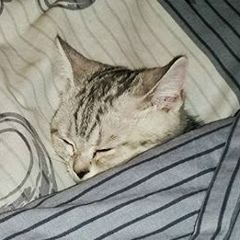 Татьяна Завада, 21.08, Тюмень