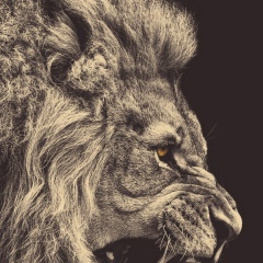 Limon Lim, 30.09.1989, Москва