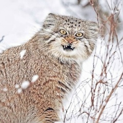 Руфина Валиева, 23.03