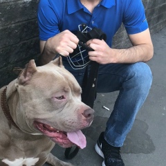 Мерик Есличё, 14.04.1990, Москва