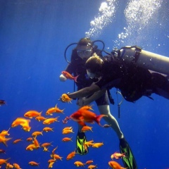 Маржан Рахманкулова, 03.05, Алматы