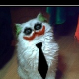 Антон Дю, 27.01