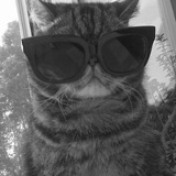 Владимир Денко, 05.03.1983, Киев