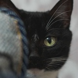 Rimma Moskaleva, 12.08.1984, Владивосток