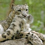 Валентин Степанов, 23.09.2006